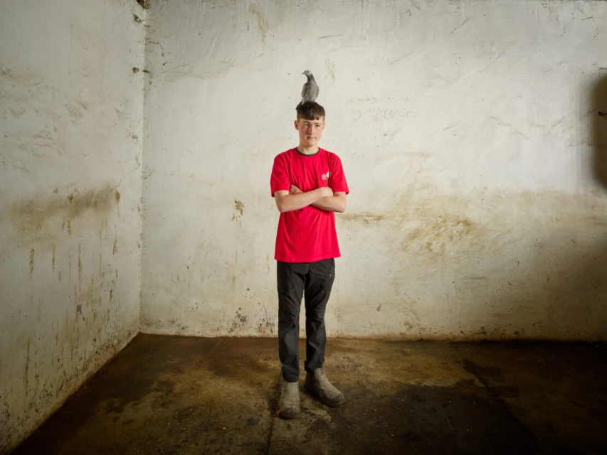 Young man stands indoors in red shirt with a gray pigeon perched on his head, captured in a medium shot against a textured wall.