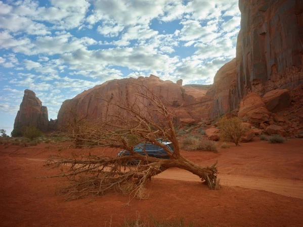 Monument Valley, USA, features a red desert landscape with mesas, a dead tree in the foreground, and a vehicle visible in the scene.