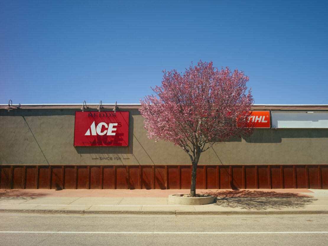 Flowering tree in front of a building with Ace Hardware and Stihl signs under a clear blue sky on a bright sunny day.