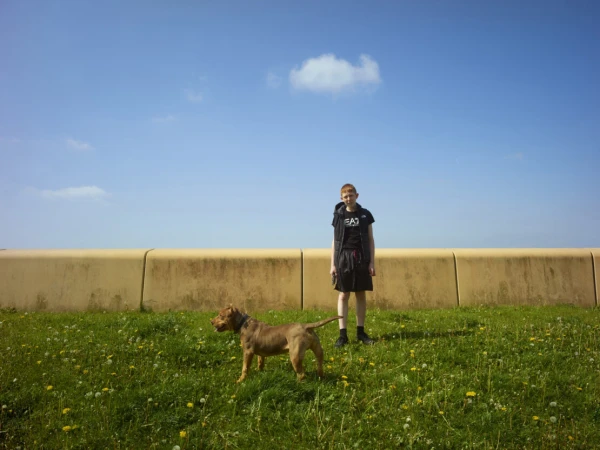 Young boy standing on grassy ground next to a brown dog with a yellow wall and bright blue sky behind them.