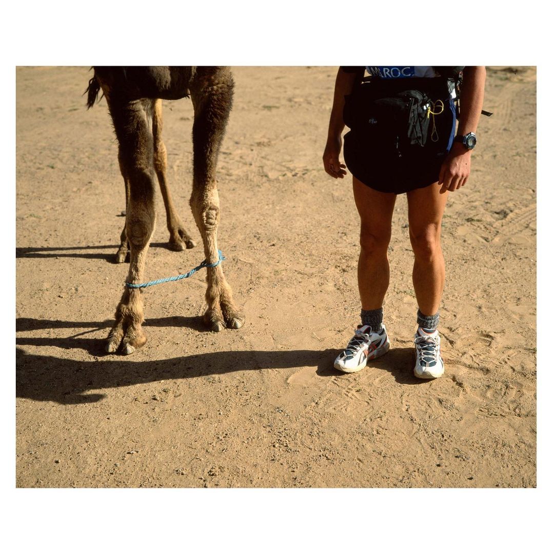 Runner with camel on desert sand, close-up on lower legs, feet, athletic shoes, and animal tethered with blue rope near running path.