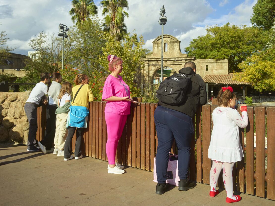 Group of people of varying ages stand along a wooden fence in an outdoor park setting, overlooking an enclosure, on a sunny day.