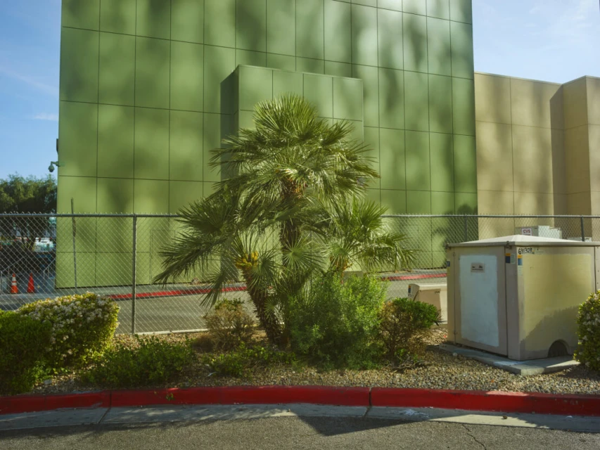 Palm tree surrounded by green bushes in front of a large building with green and beige paneling, with a fence in the foreground.