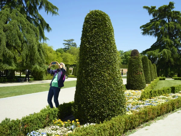 Woman with a camera phone takes a picture of sculpted bushes and flower beds in a sunny park setting on a clear day with green trees.
