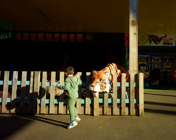Young boy in green outfit next to an artificial tiger behind a fence, with other rides visible in the background in a park.