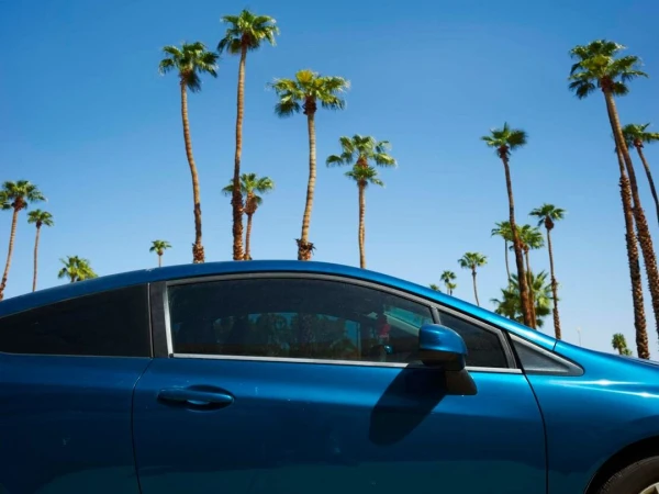 Blue car profile against clear blue sky with tall palm trees lining the background