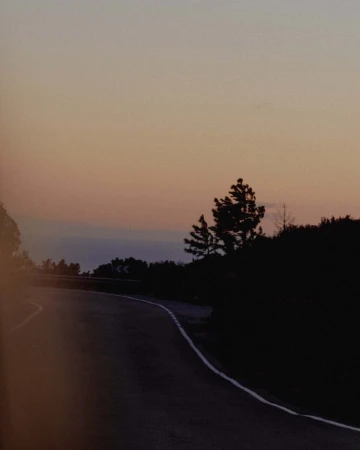Asphalt road curves gently at dusk with pine trees, silhouetted bushes, and a colorful gradient sky above.