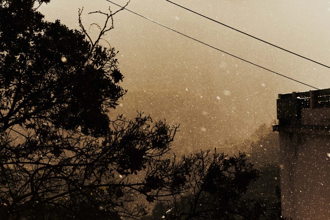 Silhouette of trees and a building are covered in falling snow, with an overcast sky in the background in this outdoor winter scene.