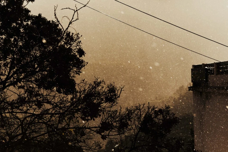 Silhouette of trees and a building are covered in falling snow, with an overcast sky in the background in this outdoor winter scene.