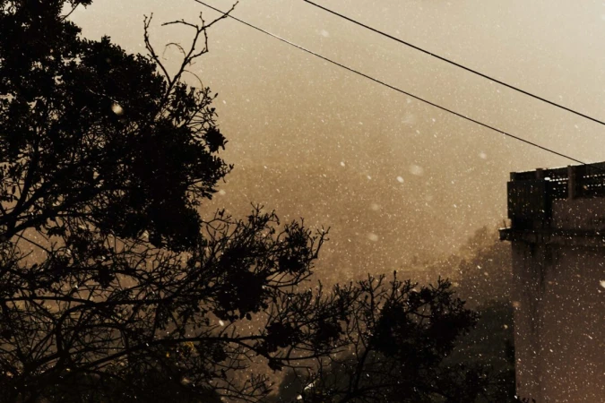 Silhouette of trees and a building are covered in falling snow, with an overcast sky in the background in this outdoor winter scene.