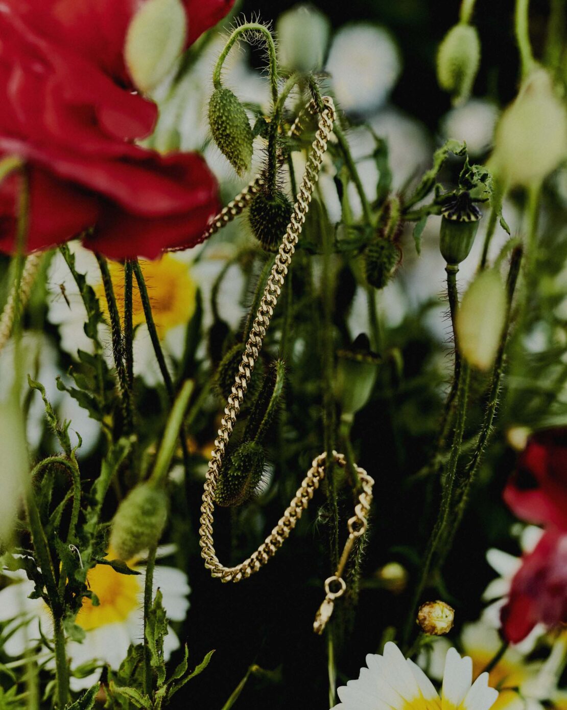Close-up of a gold chain draped over poppy seed heads and a background of colorful poppy and daisy flowers.