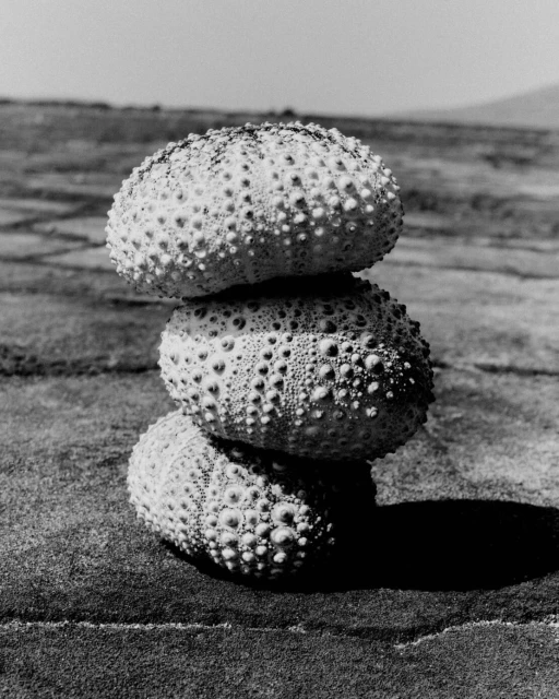 Black and white close-up of three textured, spherical objects stacked on a textured surface, with a blurred background landscape.