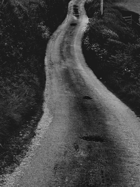 Monochrome image showcases a winding asphalt road disappearing into the distance, flanked by foliage and greenery on either side.