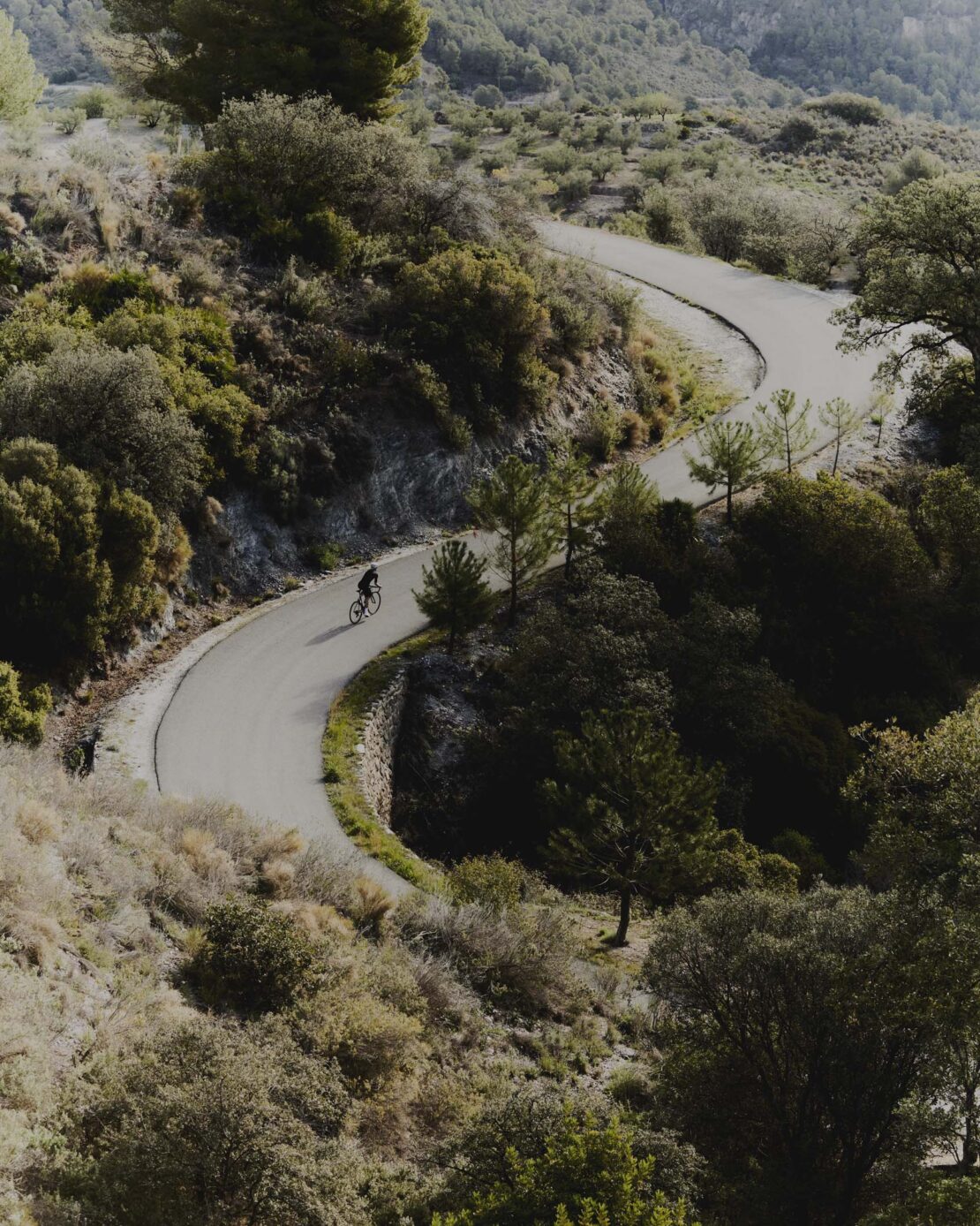 Cyclist on winding mountain road surrounded by green trees and vegetation, photographed from a high angle on a sunny day.