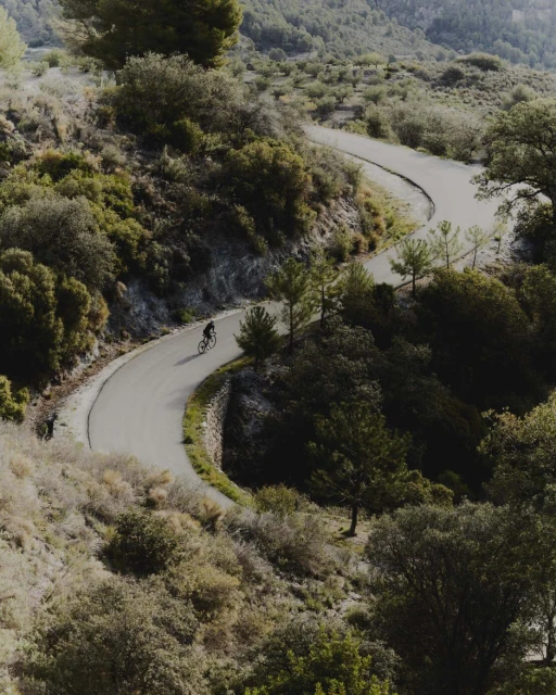 Cyclist on winding mountain road surrounded by green trees and vegetation, photographed from a high angle on a sunny day.