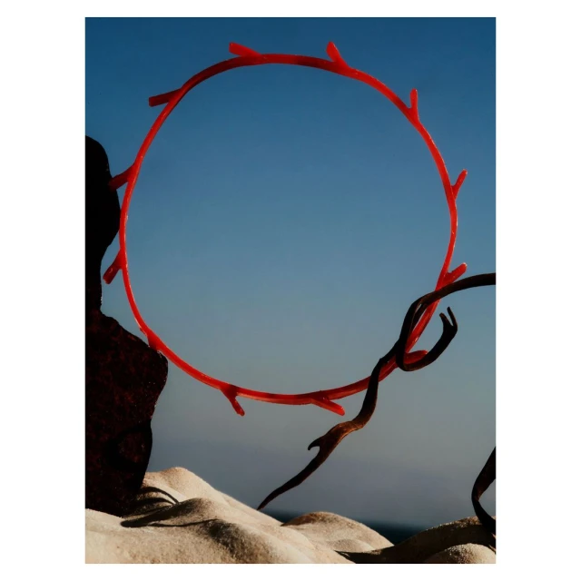 Surreal still life with a red circular object, brown branch-like objects, and sand against a clear blue sky in an outdoor setting.