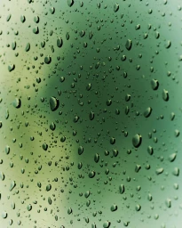 Close-up abstract photograph of numerous water droplets clinging to a smooth green glass surface by Daniel Benson