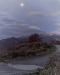 Dusk landscape with a dirt road, a puddle reflecting the sky, red foliage, and mountain ranges under a twilight sky with a visible moon.