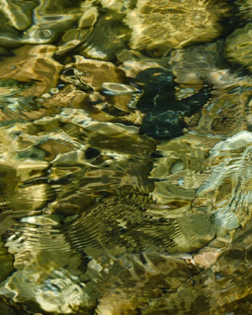 Rippled water covers multicolored rocks, creating a mesmerizing natural abstract pattern with brown, green, and black tones.
