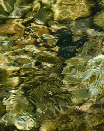 Rippled water covers multicolored rocks, creating a mesmerizing natural abstract pattern with brown, green, and black tones.