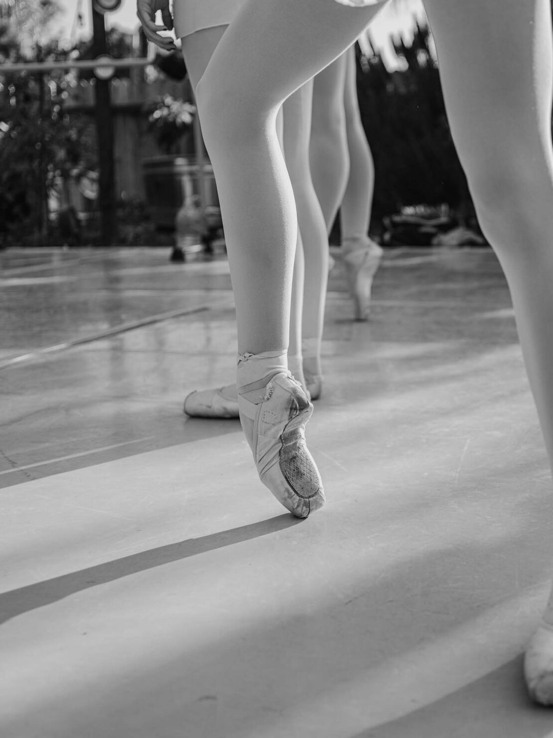 Monochrome shot of ballet dancers in pointe shoes, legs and feet only, performing in a studio with natural light and a plant backdrop.
