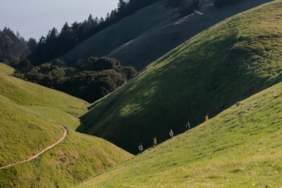 Group of people trail running on grassy hillside path, with green hills, trees, and blue ocean in background on a sunny day.
