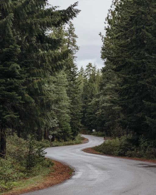 A winding road surrounded by lush green trees under an overcast sky creates a scenic outdoor landscape, ideal for travel and nature photography.