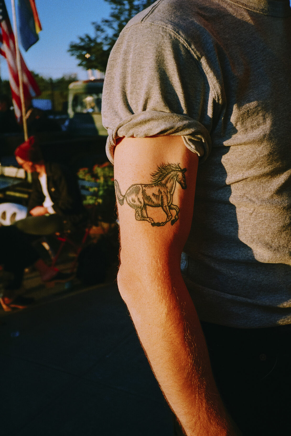 Close-up of a person's arm with a horse tattoo, wearing a grey t-shirt, set outdoors, showcasing the tattoo art in natural light.