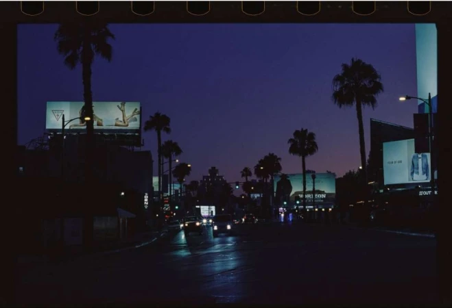 Urban twilight scene featuring palm trees, billboards, and streetlights lining a city street at dusk, creating a vibrant yet calming atmosphere.