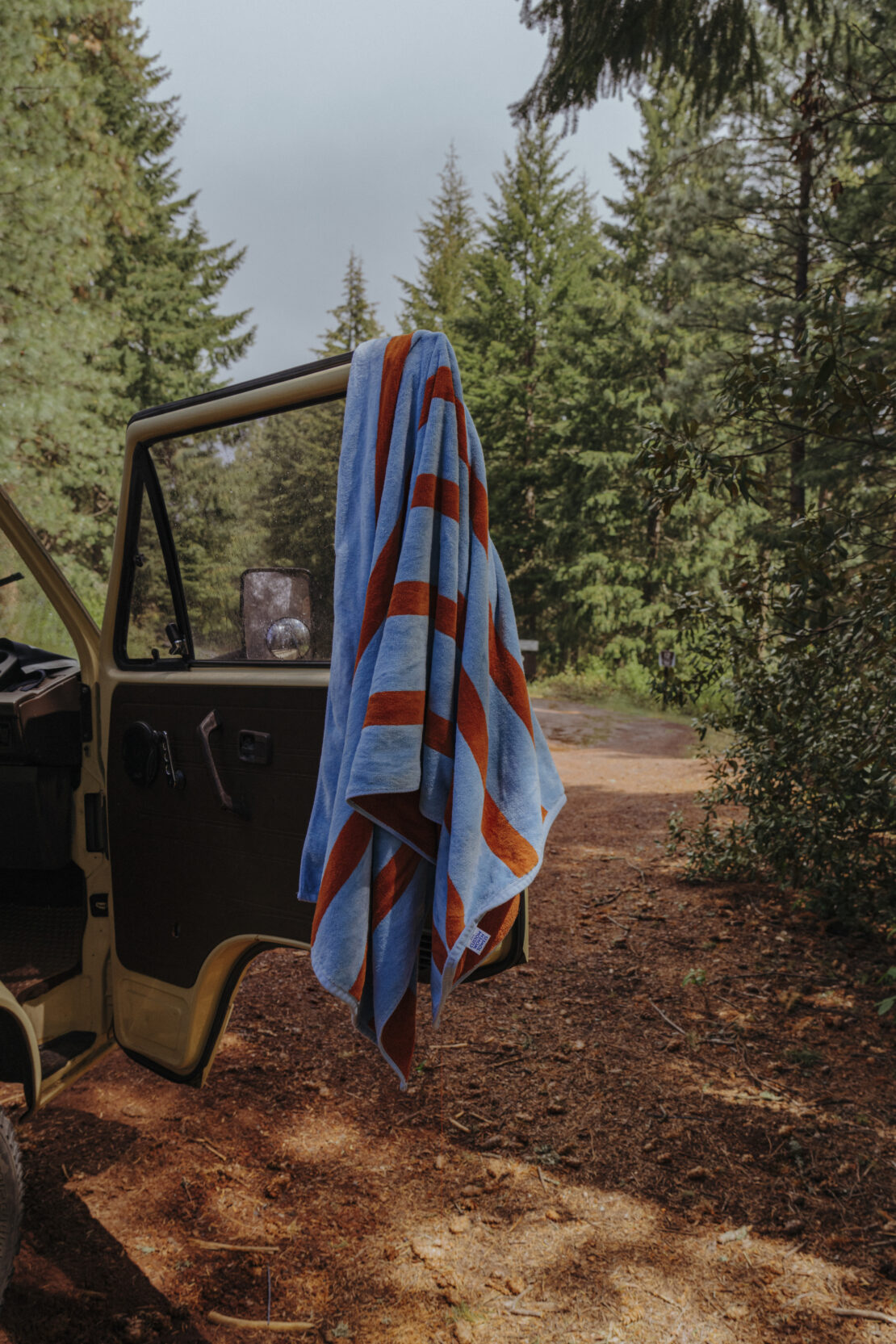 Towel with blue and orange stripes hangs from car door in forest. Green trees provide a lush backdrop in natural light.