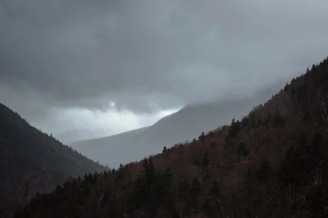 Moody landscape of forested mountains under a cloudy gray sky. The forest and mountains recede into the distance in fading layers.