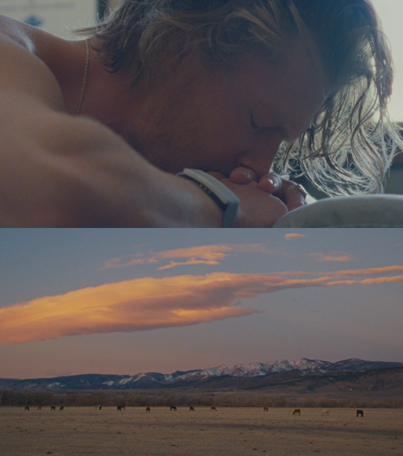 Split image shows an adult male's face resting on his hands, followed by a landscape with grazing horses and snow-capped mountains at sunset.