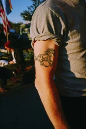 Close-up of a person's upper arm showing a detailed running horse tattoo, wearing a grey t-shirt outdoors.