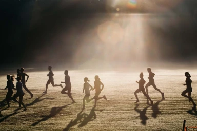 Silhouetted runners sprinting across a sunlit grassy field with dramatic lens flares overhead