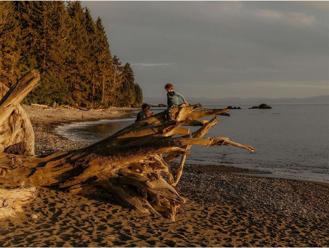 Two children climb on a large driftwood log at a beach with a forest and the ocean in the background under an overcast sky.