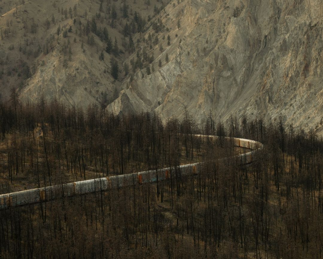 Freight train winds through a dark forest landscape, with mountains rising in the background under soft, natural light.