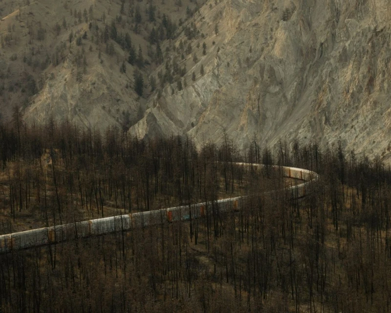 Freight train winds through a dark forest landscape, with mountains rising in the background under soft, natural light.