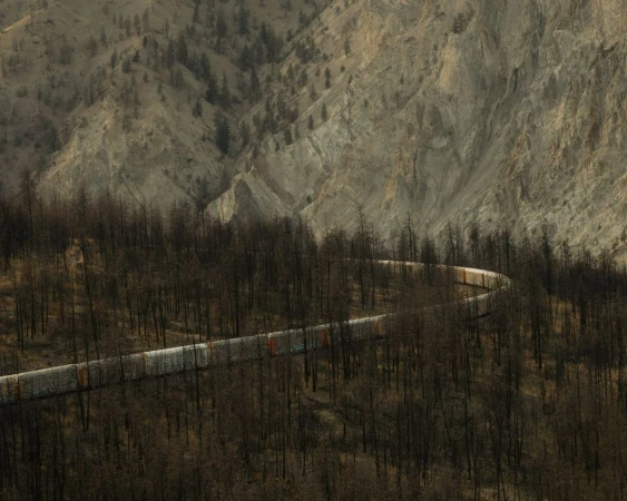Freight train winds through a dark forest landscape, with mountains rising in the background under soft, natural light.