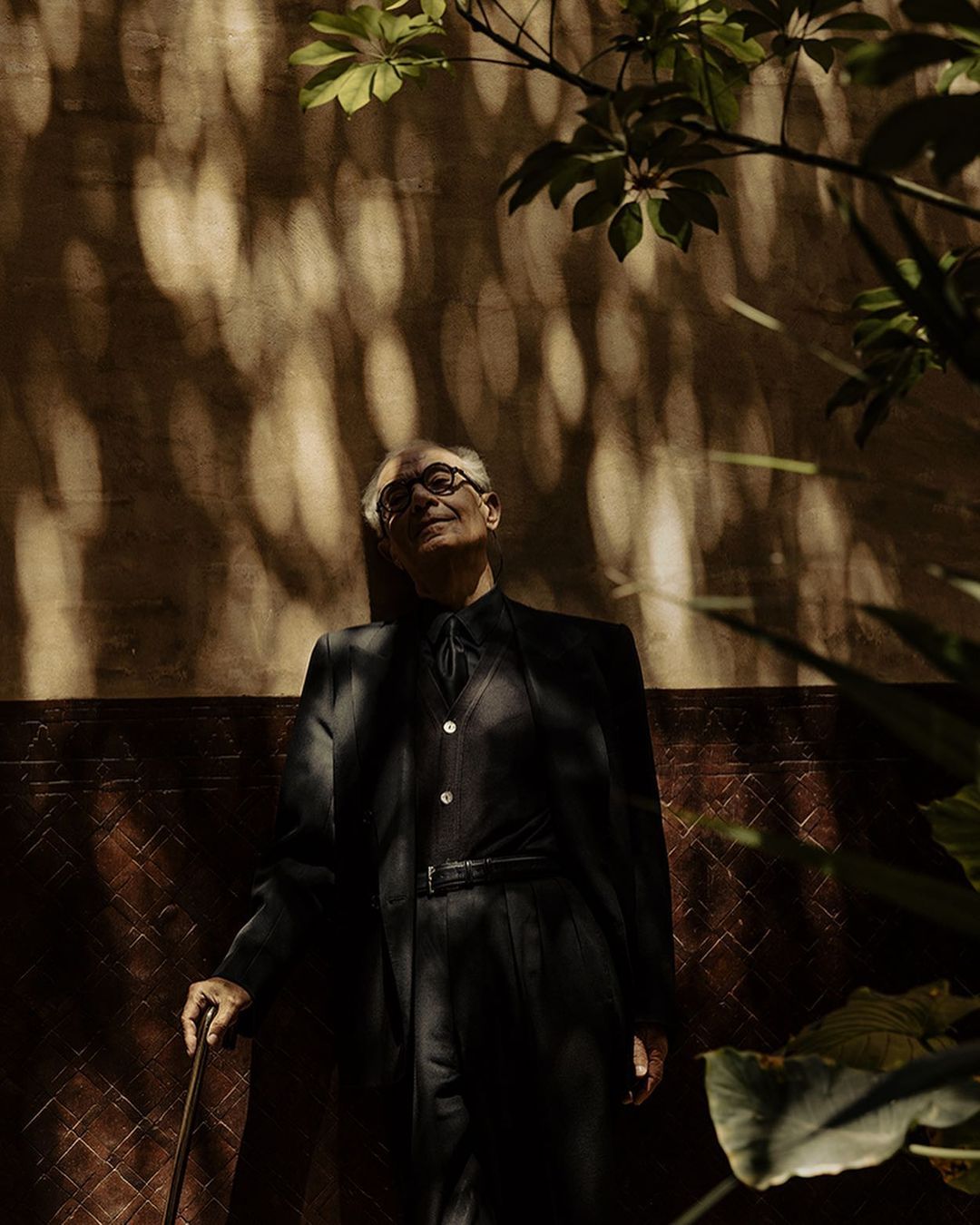 Portrait of an elderly man in a dark suit leaning against a brown wall with leaf shadows, holding a cane and looking up, outdoors.