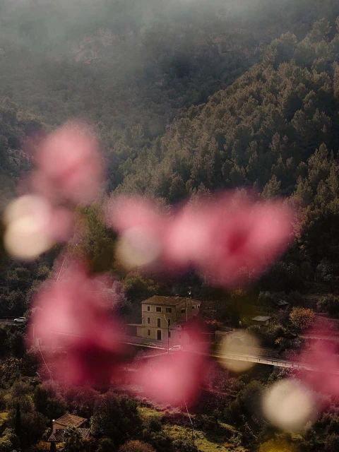 Mountain landscape with a stone building nestled among trees, soft focus foreground with floral bokeh effect in shades of pink.