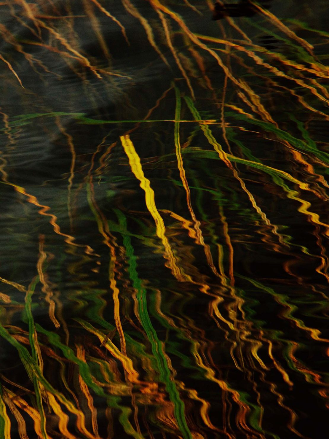 Abstract photo of green and yellow grass blades under dark water, showing reflections and wavy textures in an outdoor nature setting.
