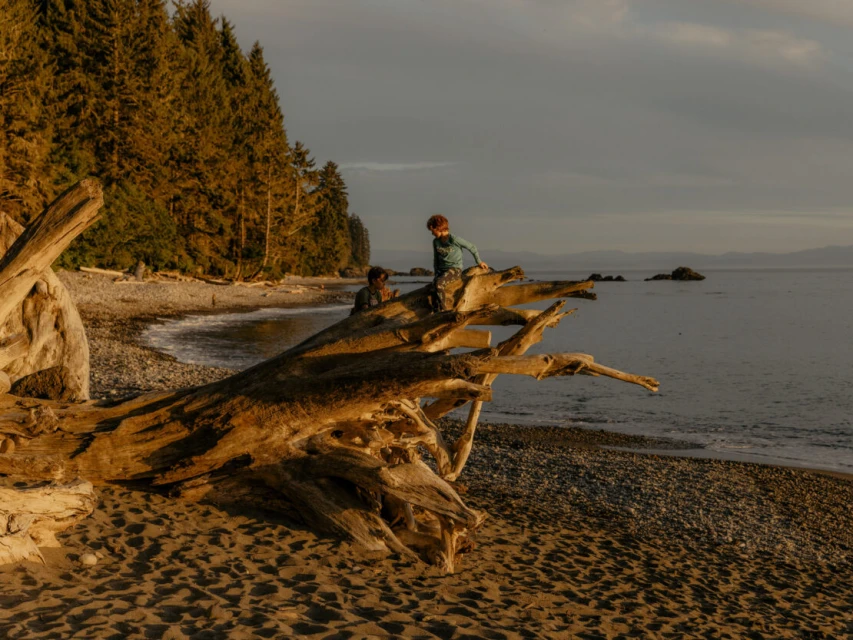 Two children play on a large driftwood log on a sandy beach by the ocean, with a treeline and sky in the background during daytime.
