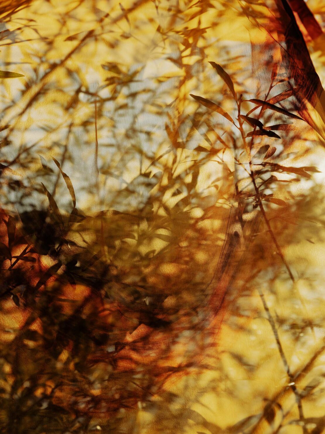 Abstract golden-brown nature shot with overlapping leaf shadows, creating an organic, textured pattern in warm earth tones, hints of sky.