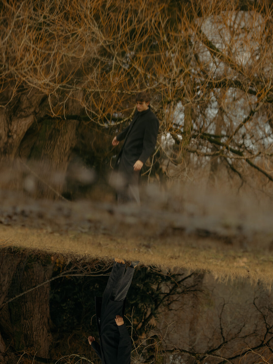 Person in a black coat walking through a field of tall dry grass near bare trees, creating a double exposure effect.