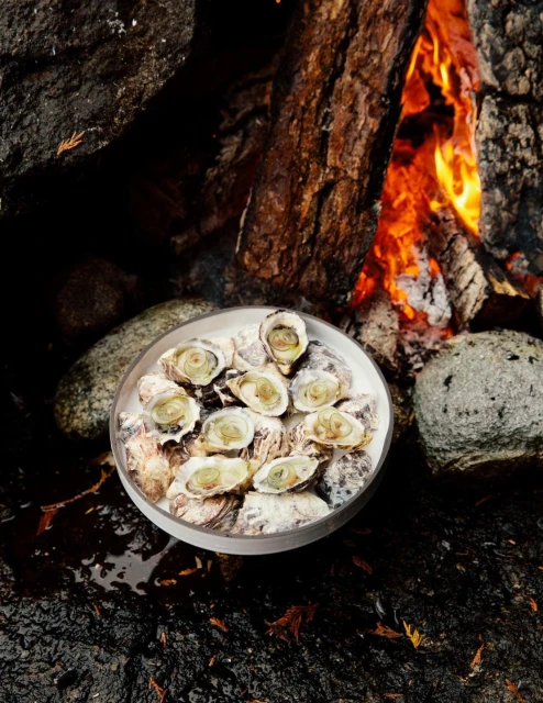 Overhead shot of oysters on a plate surrounded by rocks and fire, offering a rustic culinary experience in a natural environment.