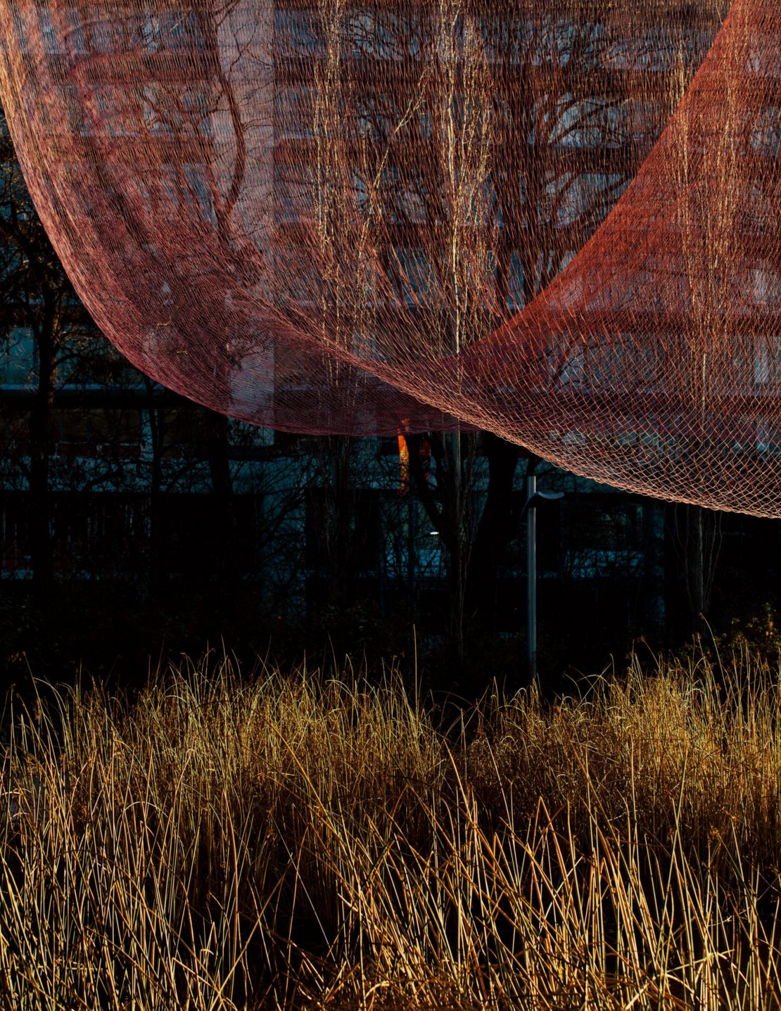 A large red mesh net curves across the frame above tall dry grasses and bare trees, photographed by Grant Harder
