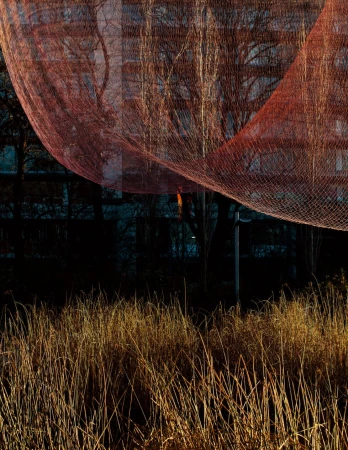 A large red mesh net curves across the frame above tall dry grasses and bare trees, photographed by Grant Harder