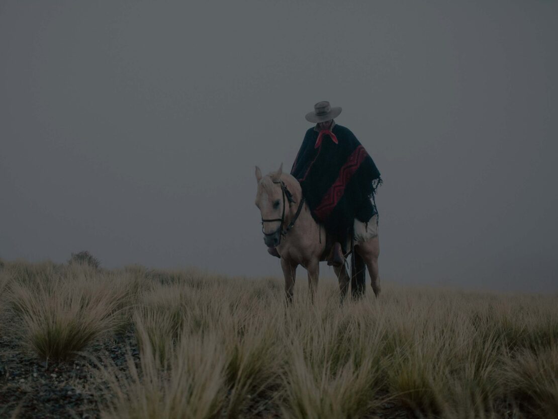 A rider on horseback crosses a misty, grassy landscape. The person wears a hat and poncho, blending into the cool-toned, atmospheric scene.