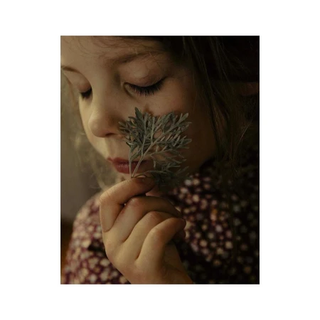 Close-up of a young girl with brunette hair holding a sprig of dusty miller plant in her hand with soft, diffused lighting indoors.