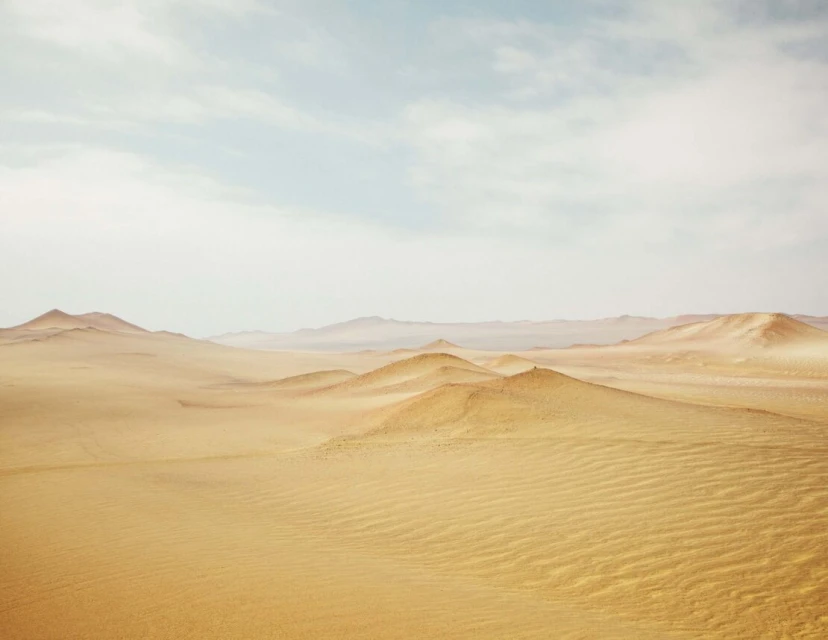 Sweeping desert landscape with sand dunes under a bright sky, showcasing the arid beauty and vastness of the natural environment.